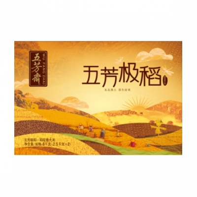 5��������巼�����������